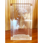 Fabio Manilo Ciocca Ufo vaas